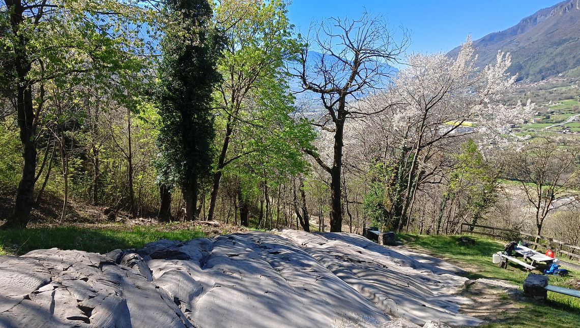 Valle Camonica: dove la pietra racconta il clima dell’umanità